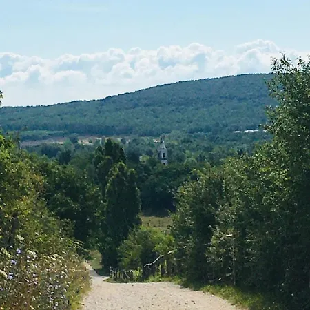 Aligvar Vendeghaz 度假居