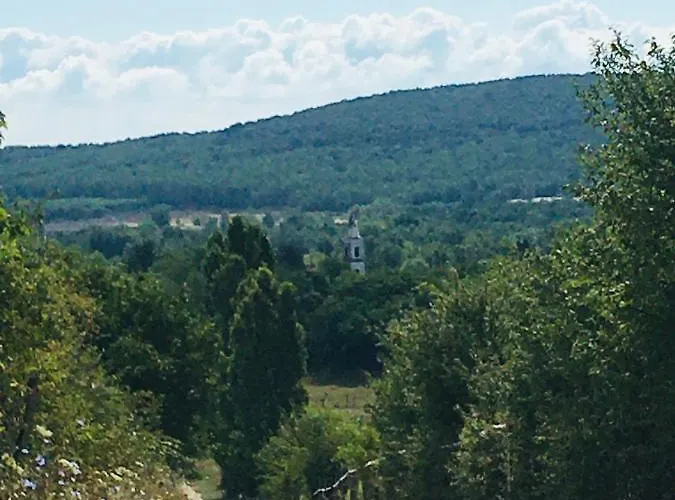 Aligvar Vendeghaz בית נופש