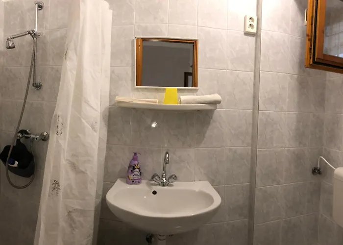 Aligvar Vendeghaz בית נופש Salfold