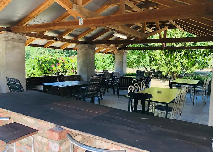 Aligvar Vendeghaz * Salfold