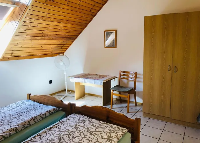 Aligvar Vendeghaz בית נופש Salfold