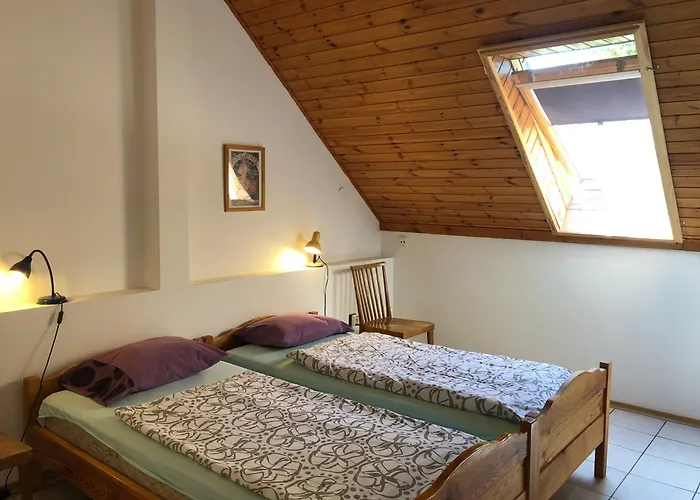 Aligvar Vendeghaz Salfold