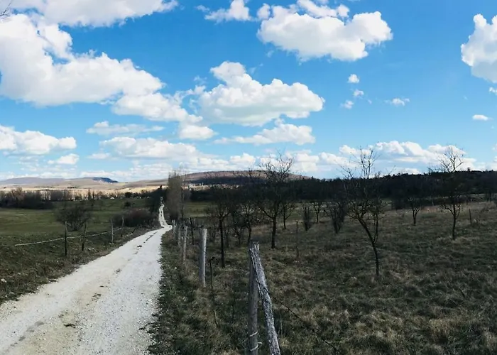 Aligvar Vendeghaz בית נופש *